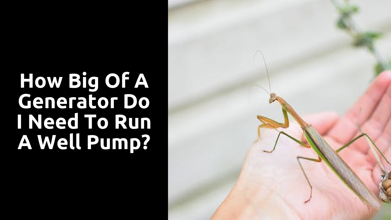 How big of a generator do I need to run a well pump?